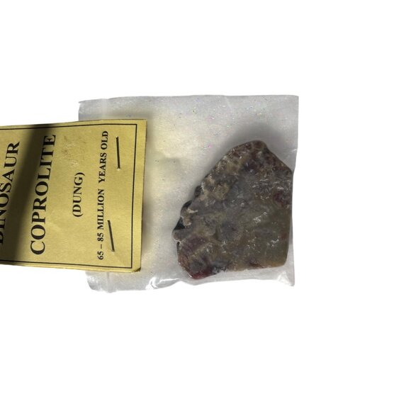 Dinosaur Coprolite (Dung) Fossil 65-85 Million Years Old - Picture 6 of 6